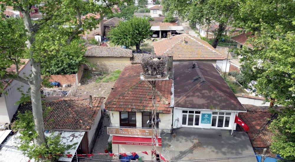 Mahallenin maskotu olan leylek, 24 saat kamerayla izlenecek