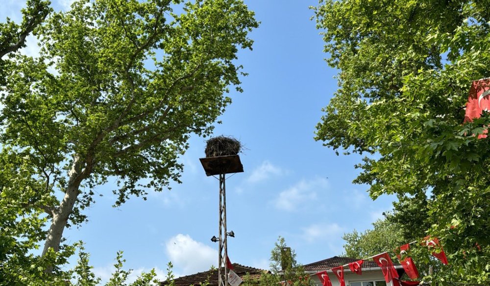 Mahallenin maskotu olan leylek, 24 saat kamerayla izlenecek