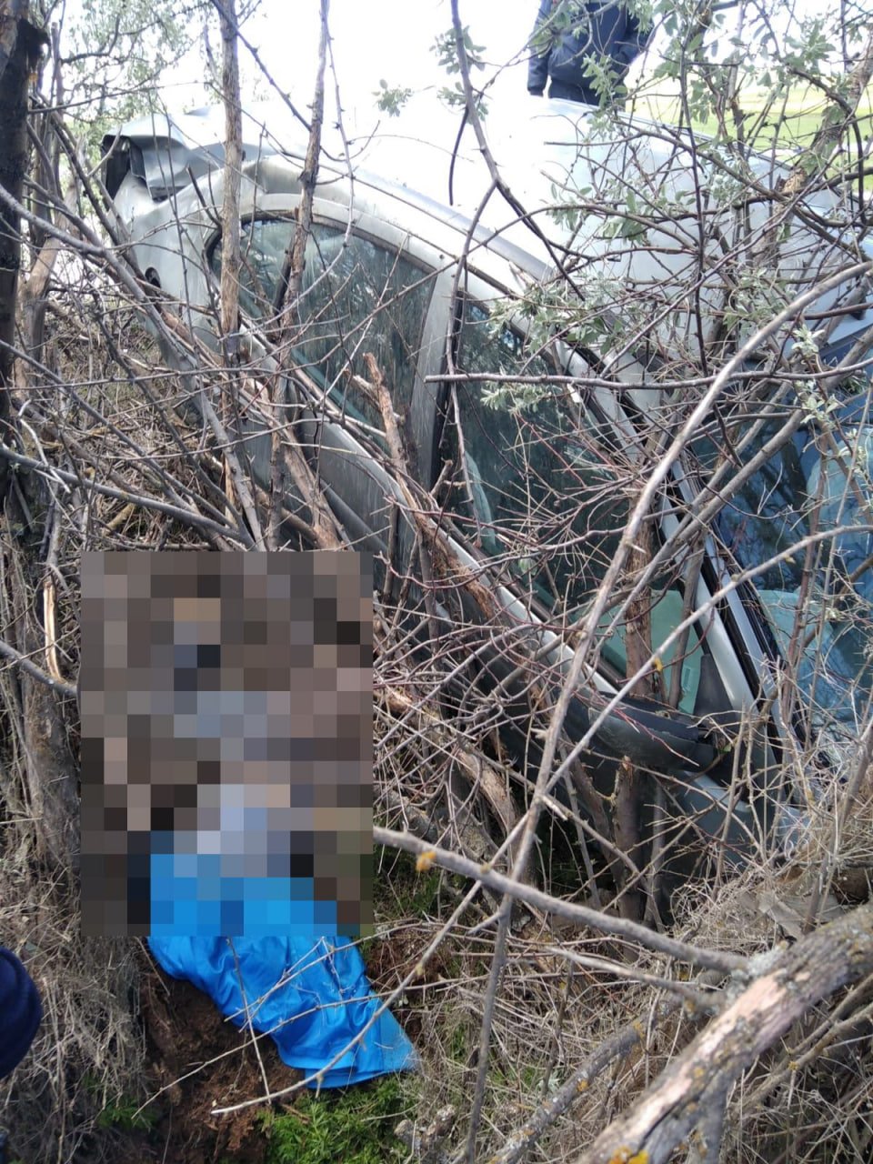 Çorum'da otomobil, ağaca çarptı: ölü ve yaralı var