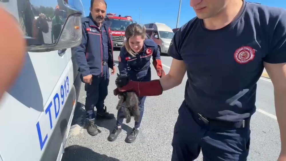 Servis minibüsünde kedi kurtarma operasyonu