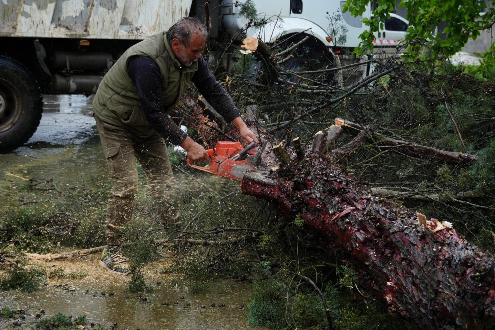 Düzce'de kuvvetli rüzgar ve sağanak: Ağaçlar devrildi, araçlar hasar gördü