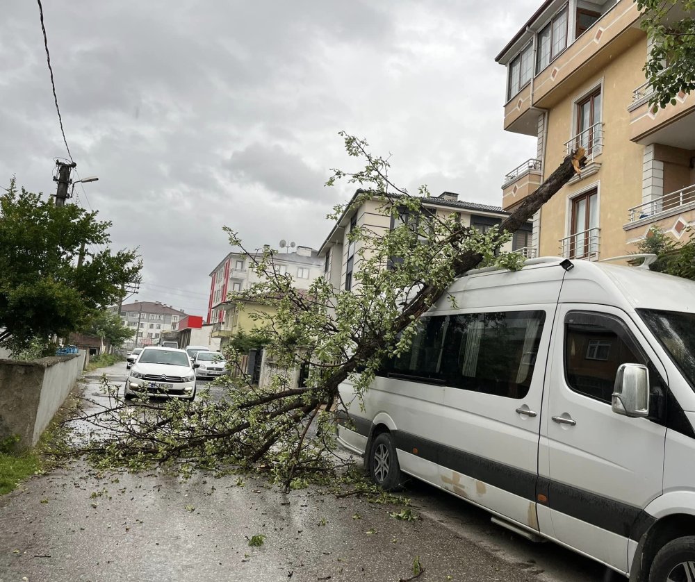 Düzce'de kuvvetli rüzgar ve sağanak: Ağaçlar devrildi, araçlar hasar gördü