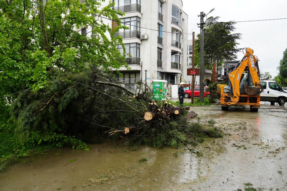 Düzce'de kuvvetli rüzgar ve sağanak: Ağaçlar devrildi, araçlar hasar gördü