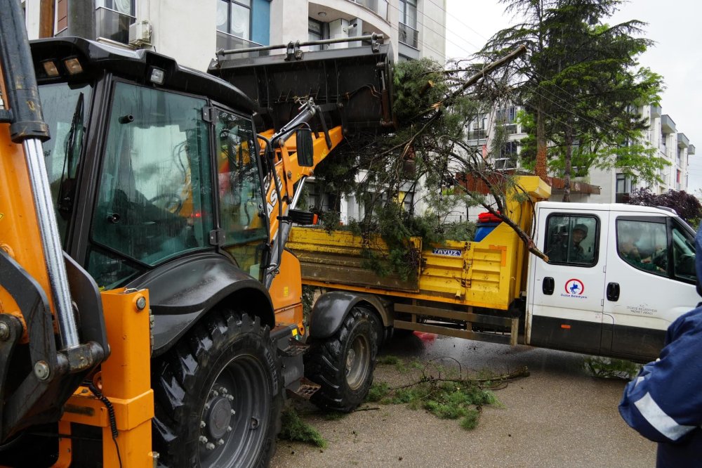 Düzce'de kuvvetli rüzgar ve sağanak: Ağaçlar devrildi, araçlar hasar gördü