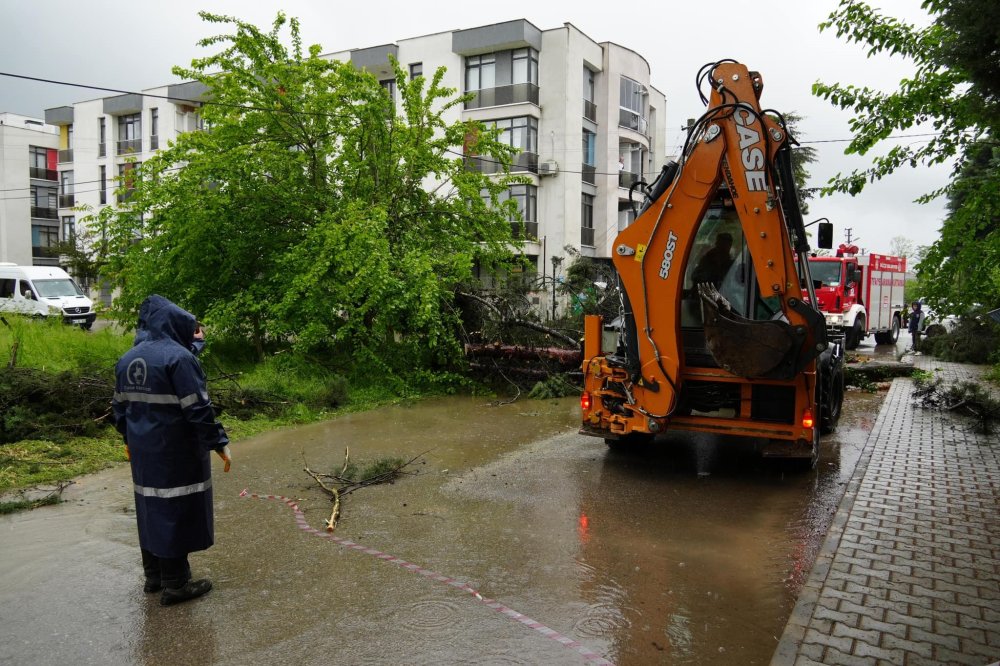 Düzce'de kuvvetli rüzgar ve sağanak: Ağaçlar devrildi, araçlar hasar gördü