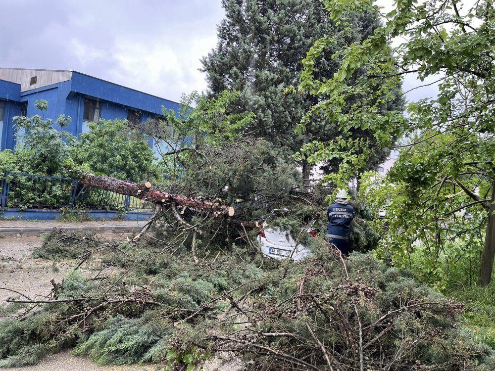 Düzce'de kuvvetli rüzgar ve sağanak: Ağaçlar devrildi, araçlar hasar gördü