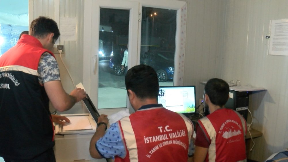 İstanbul'a kurbanlık hayvanların girişi başladı