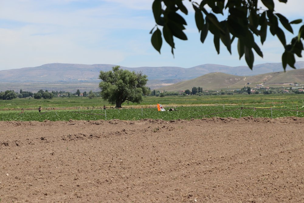 İki pilotun şehit olduğu kazanın görgü tanıkları anlattı: 'Cenazeler yanmasın diye mücadele ettik'