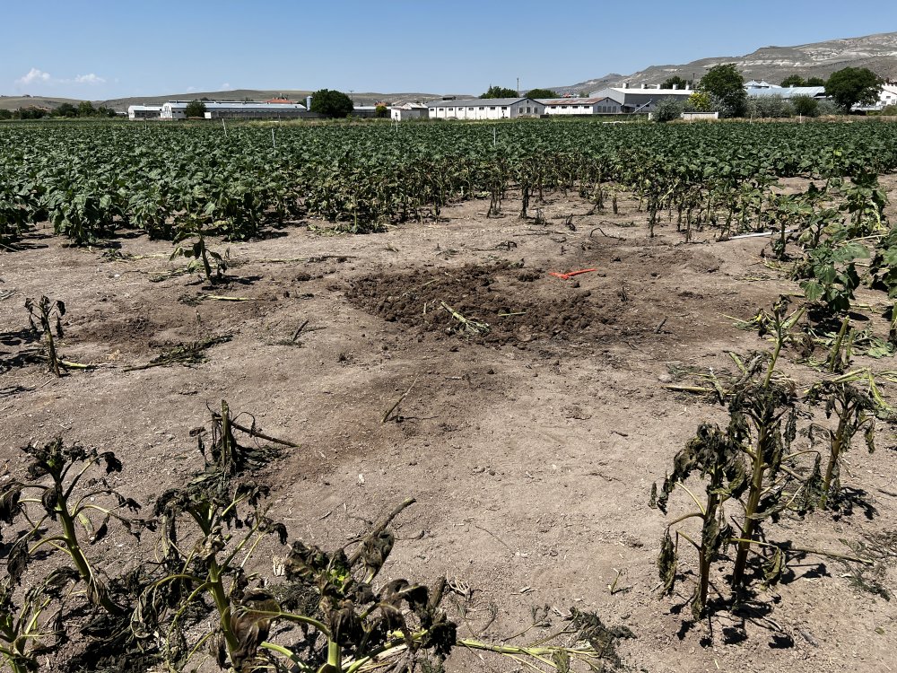 İki pilotun şehit olduğu kazanın görgü tanıkları anlattı: 'Cenazeler yanmasın diye mücadele ettik'