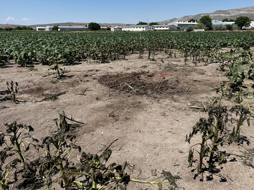 İki pilotun şehit olduğu kazanın görgü tanıkları anlattı: 'Cenazeler yanmasın diye mücadele ettik'