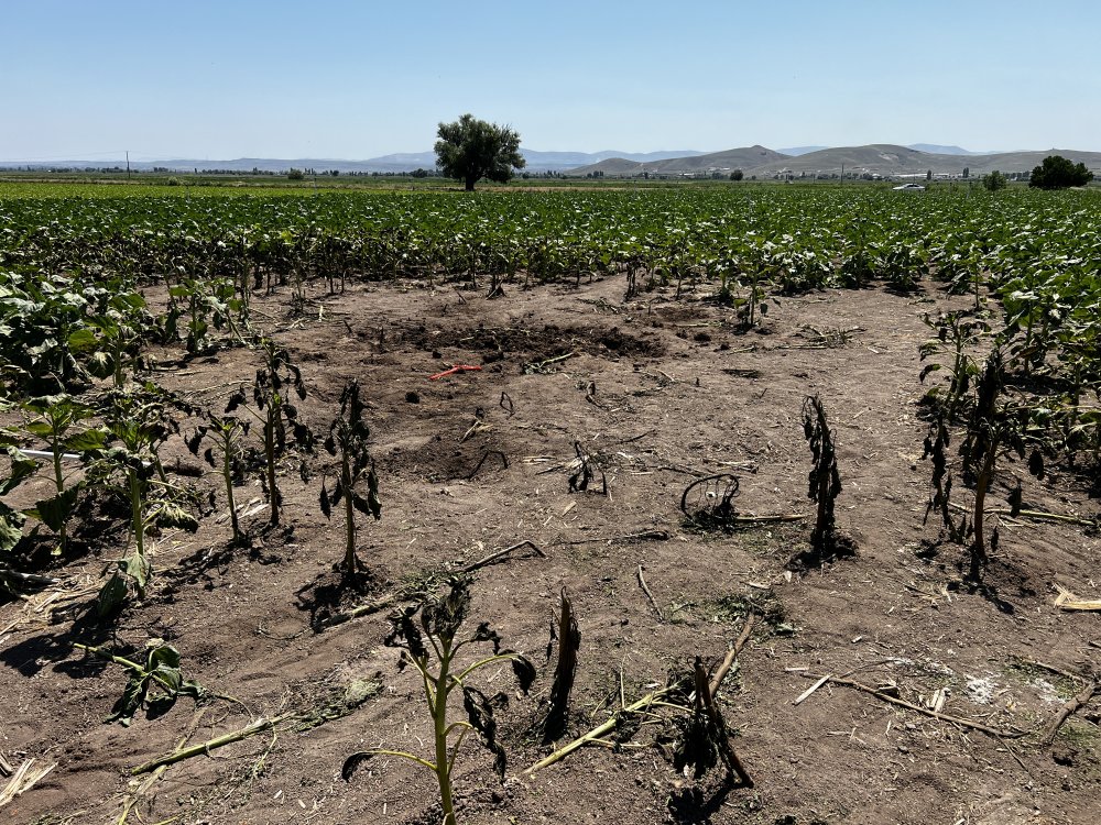 İki pilotun şehit olduğu kazanın görgü tanıkları anlattı: 'Cenazeler yanmasın diye mücadele ettik'