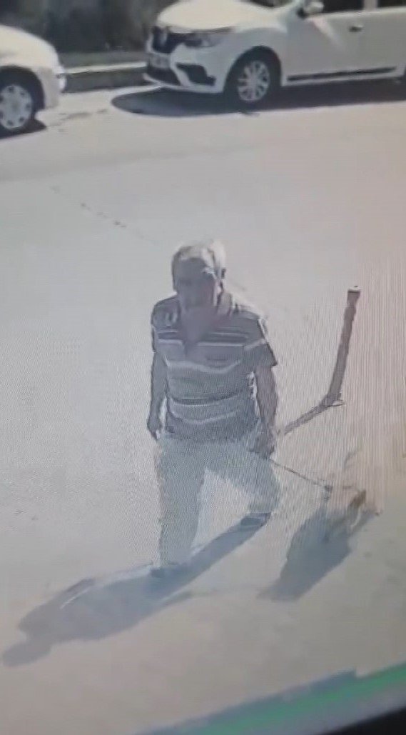 İstanbul'da mide bulandıran olay: Köpeğe cinsel istismar şüphelisi gözaltına alındı