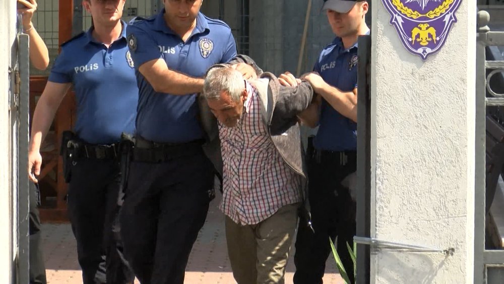İstanbul'da mide bulandıran olay: Köpeğe cinsel istismar şüphelisi gözaltına alındı