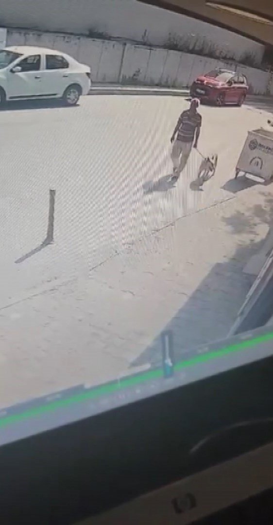 İstanbul'da mide bulandıran olay: Köpeğe cinsel istismar şüphelisi gözaltına alındı