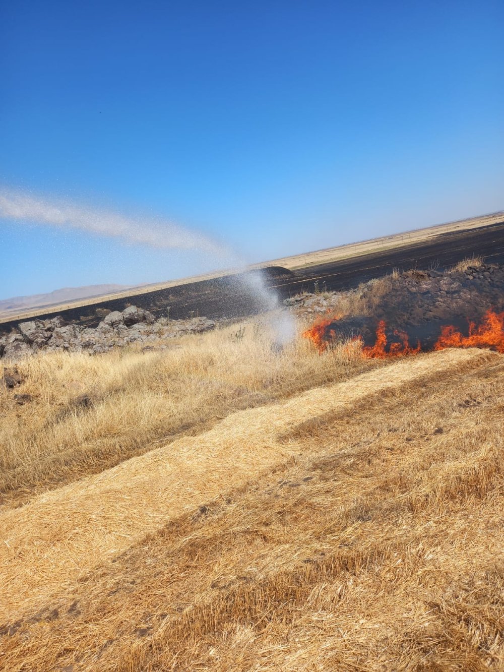 Mardin'de 9 ayrı noktada yangın: 800 dönüm ekili arazi zarar gördü