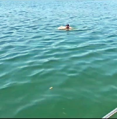 Dünya şampiyonasına hazırlanan milli güreşçi Sapanca Gölü'nü yüzerek geçti