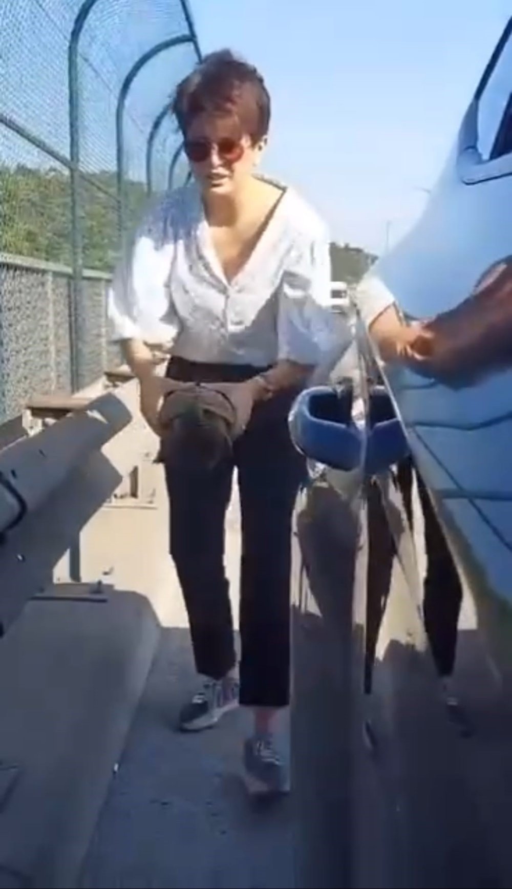 Yola çıkan kamlumbağayı kurtarmak için TEM'de metrelerce koştu!