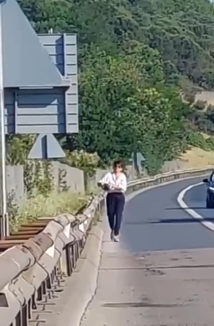 Yola çıkan kamlumbağayı kurtarmak için TEM'de metrelerce koştu!