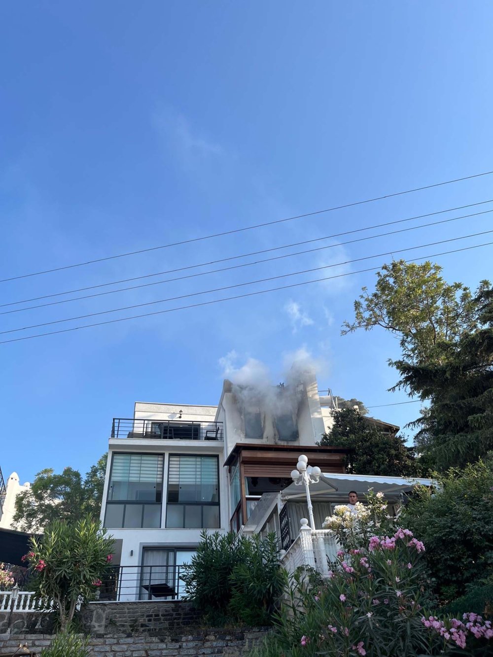 Villada çıkan yangında itfaiye kedileri kurtardı