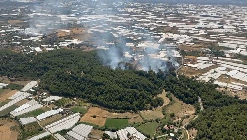 Antalya'da 4 hektarlık ormanlık alan yandı