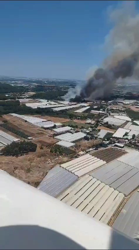Antalya'da orman yangını!