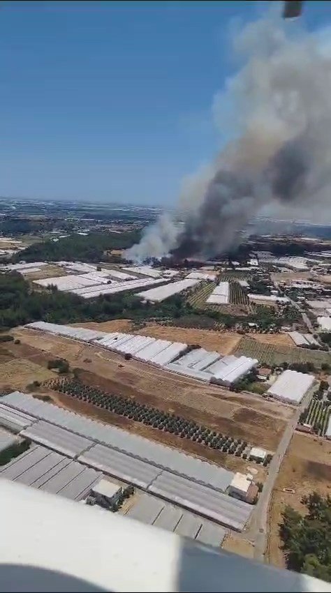 Antalya'da orman yangını!