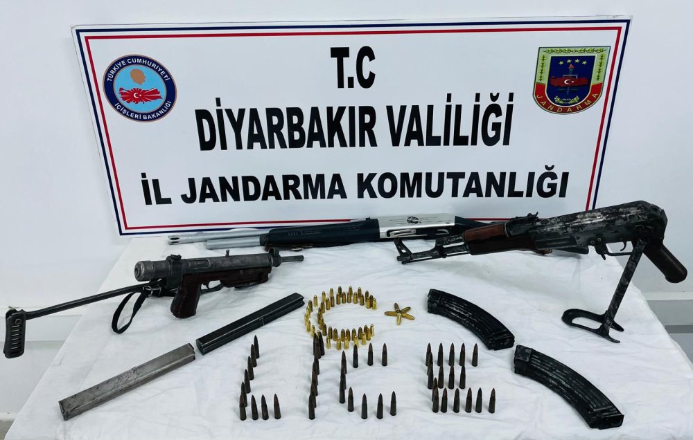 10 bin kök kenevir bitkisi ele geçirildi; 3 şüpheli tutuklandı