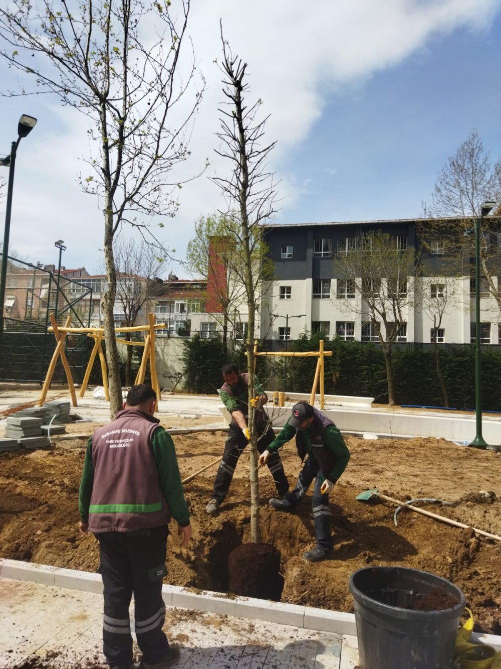 Ümraniye'de 40 bin ağaç toprakla buluştu