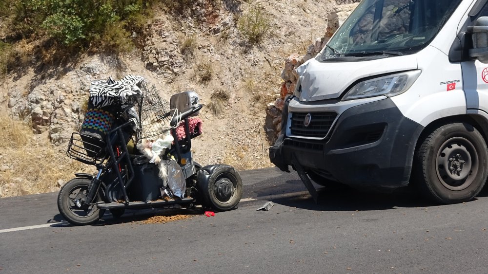Sokak köpeklerine mama götürürken minibüsün çarpmasıyla hayatını kaybetti