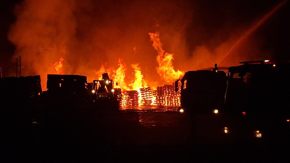 Bursa'da fabrika yangınında mahsur kalan tavşan kurtarıldı!