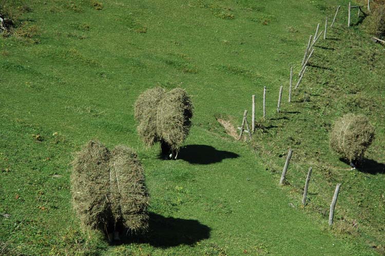 Kadın Ana Dildir! 2