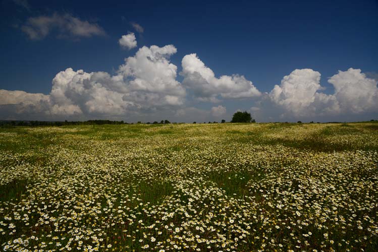 Doğa Turizminde Bilecik Dönemi Başlıyor 6