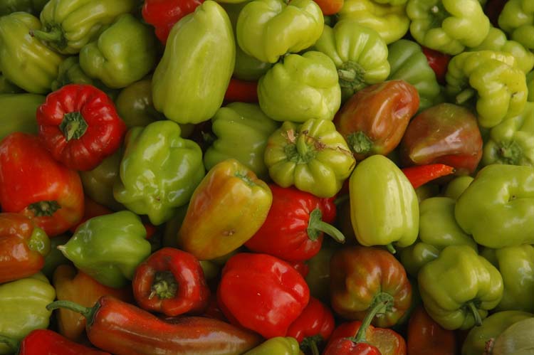 Yerel Olan Evrenseldir (2) 2