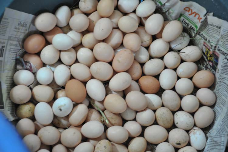 Yerel Olan Evrenseldir (3) 3