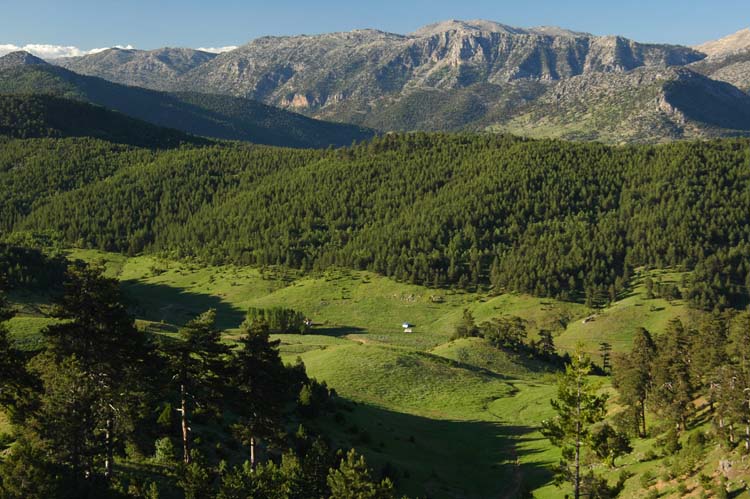 Anamas Coğrafyasının Bileşenleri (2) 1