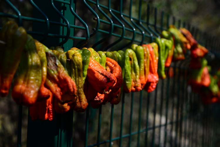 Yerel Olan Evrenseldir (2) 5