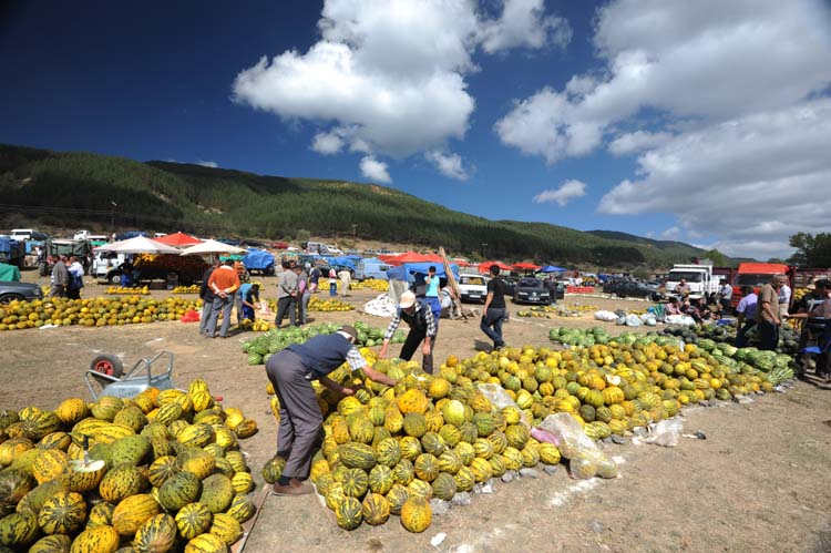 Yerel Olan Evrenseldir (4) 2