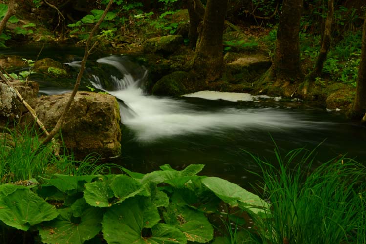 Tek Perdelik Bir Oyun: Su, Su Gibi Akıp Gitti 7