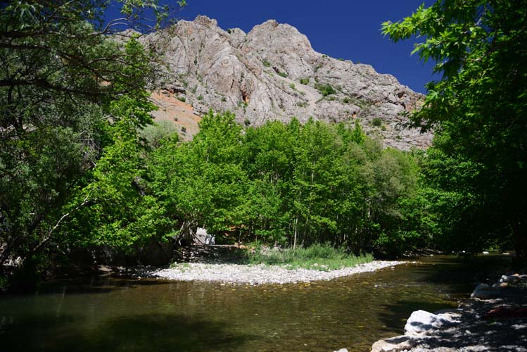 Fırat Havzası'nın en güzel vadisi: Kozluk 7