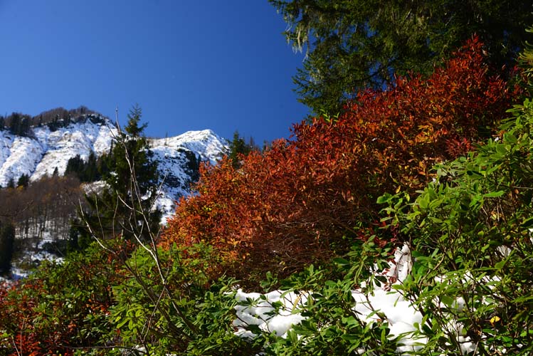 Çoruh Ne Yana Düşer Usta? 6