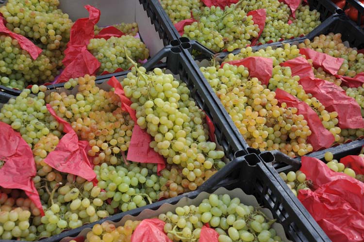 Yerel Olan Evrenseldir (3) 5