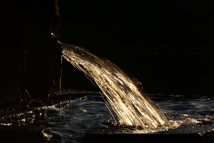 Kırka Yolu'nun Eski Yolcuları İle Buluştuk 1