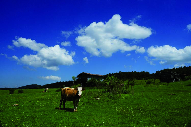 Karadeniz'in Zeugma'sı Hadrianoupolis (2) 2