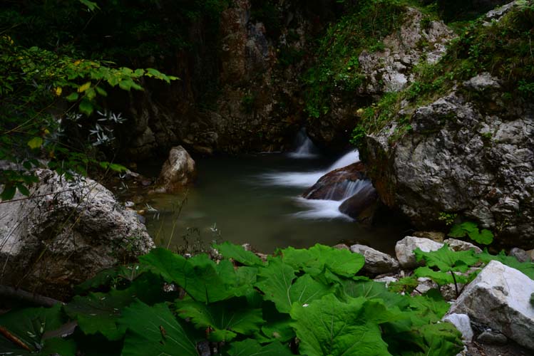 Tek Perdelik Bir Oyun: Su, Su Gibi Akıp Gitti 4