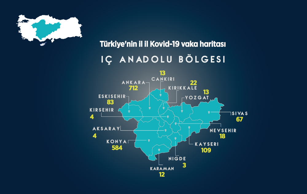 Türkiye'nin İl İl Kovid-19 Vaka Haritası 8