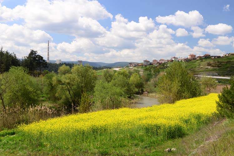 Ormanya Gelişerek Büyüyor 4