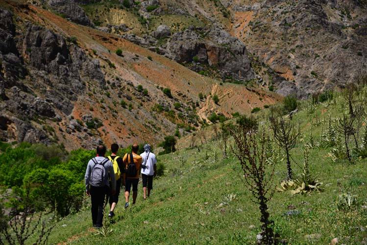 Fırat Havzası'nın en güzel vadisi: Kozluk 11