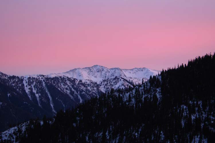 Çoruh Ne Yana Düşer Usta? 2