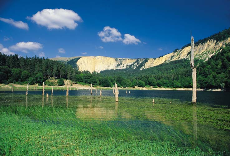 Bolu Coğrafyasının Diğer Etkenleri 7