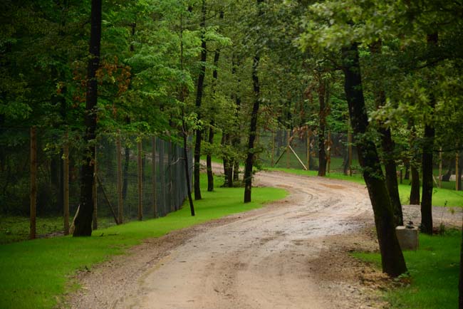 Ormanya Neresidir? 13